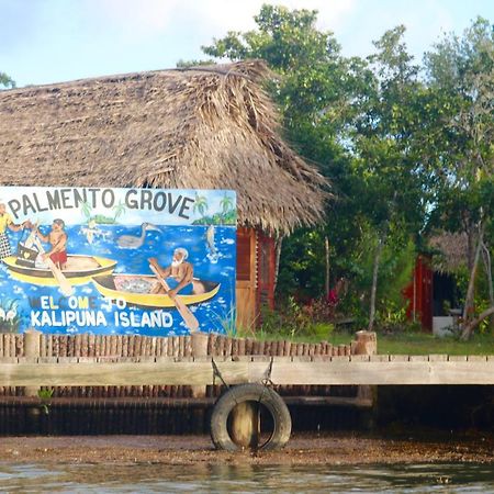 Palmento Grove Garifuna Eco-Cultural&Fishing Institute Hopkins Esterno foto